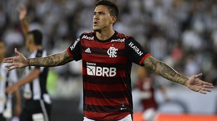 Pedro Flamengo