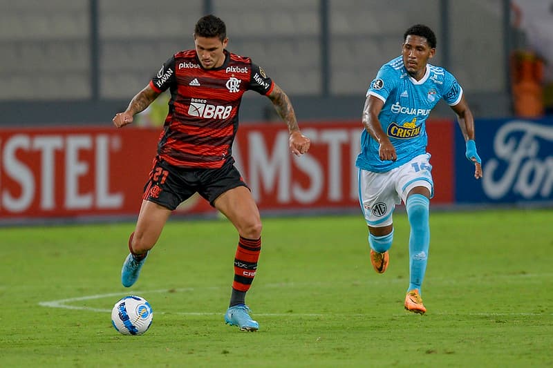 Flamengo Pedro libertadores