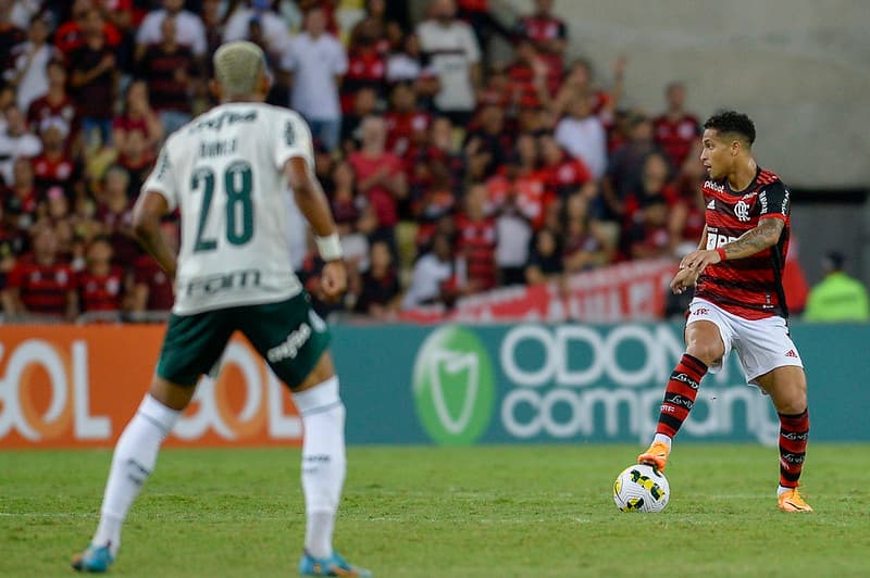 joao gomes danilo flamengo palmeiras