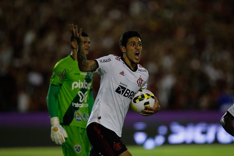 Pedro Flamengo