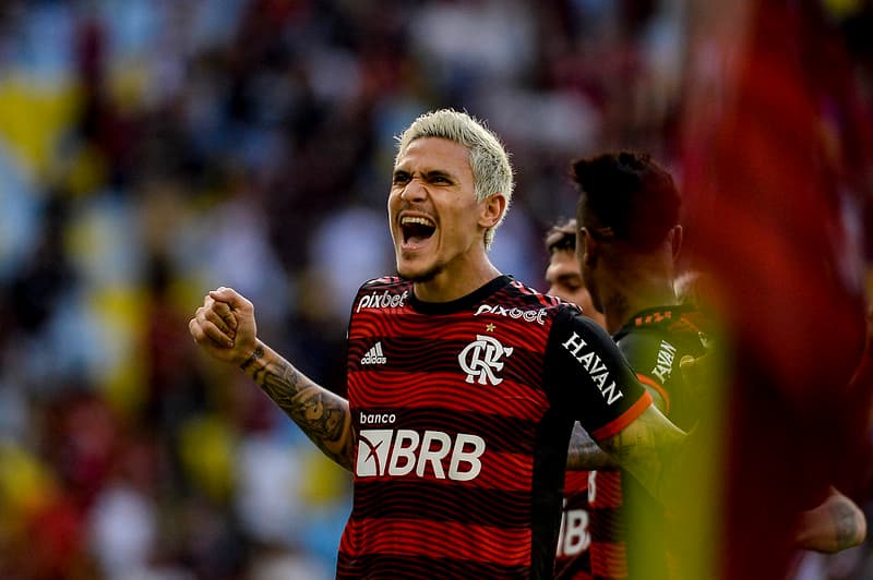 pedro flamengo goiás brasileiro 2022