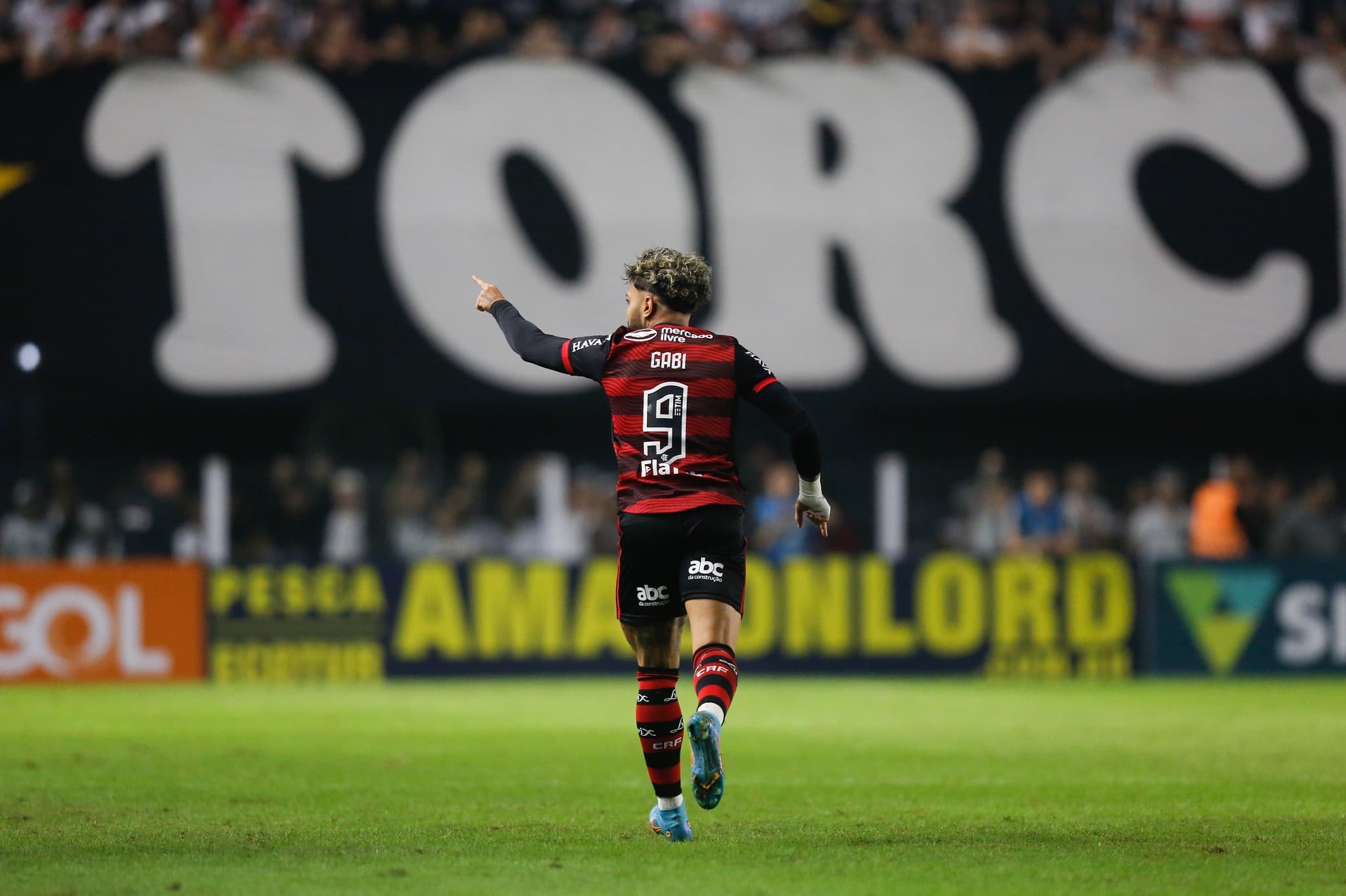 Gabigol pode alcançar recorde de Roberto Dinamite no Brasileirão