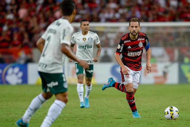 Palmeiras x Flamengo: Scarpa volta e time paulista terá força máxima