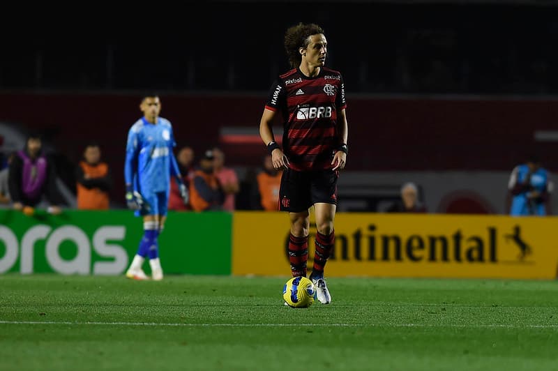 David Luiz pelo Flamengo