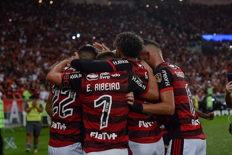 Jogadores do Flamengo comemorando classifiacção