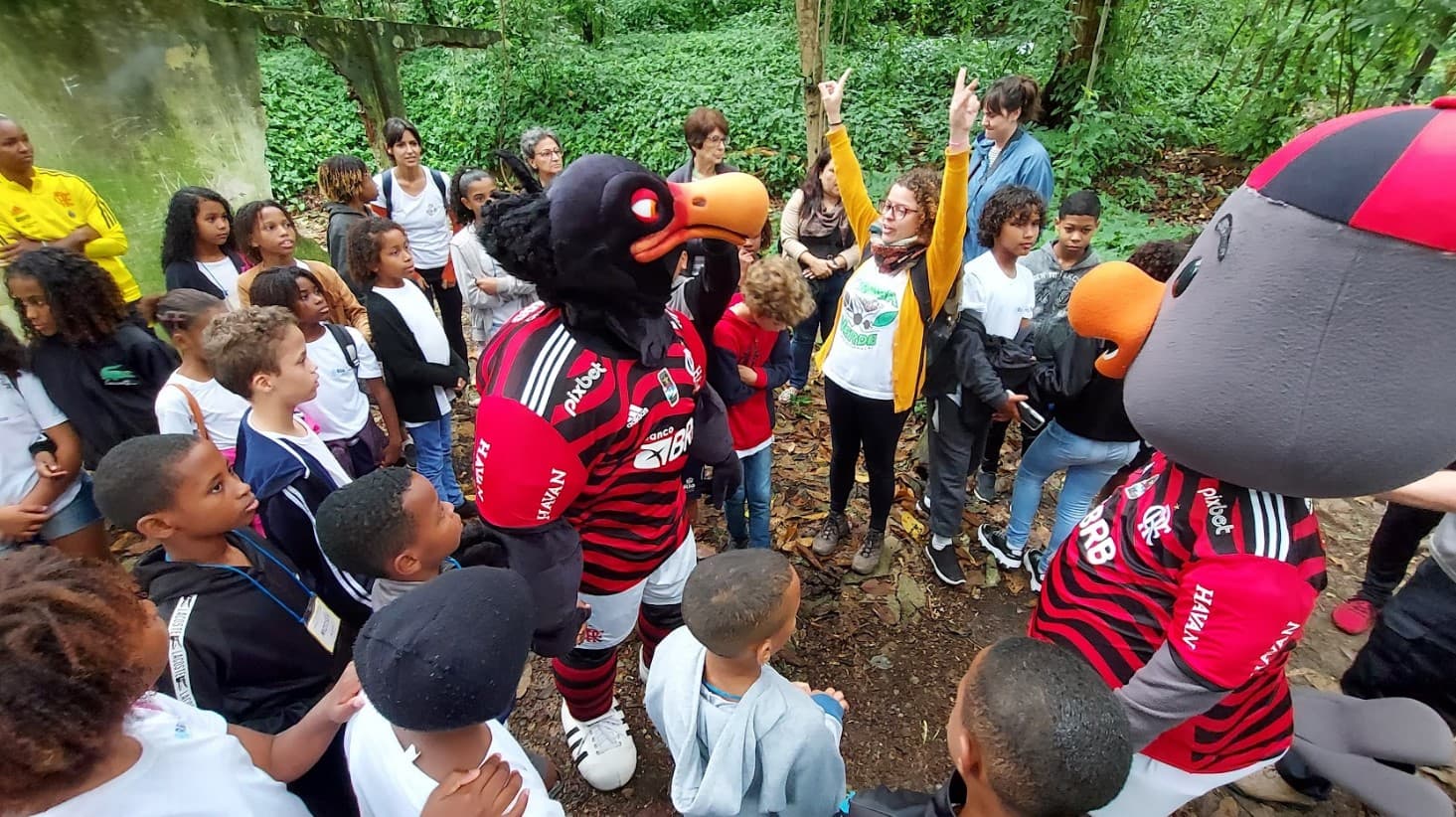 Projeto "Pé de gol" plantou 400 mudas de árvores no Rio