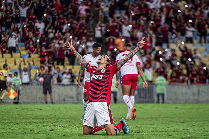 Pedro comemora gol do Flamengo