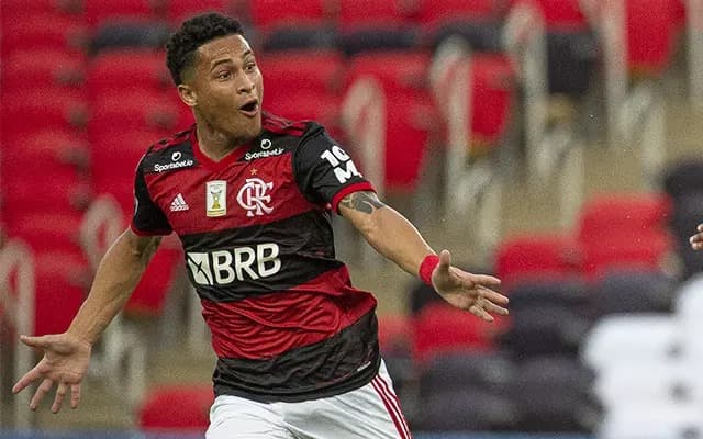 João Gomes comemora gol pelo Flamengo