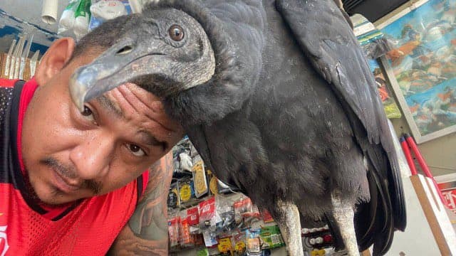 Torcedor rubro-negro adota urubu e coloca nome de volante do Flamengo