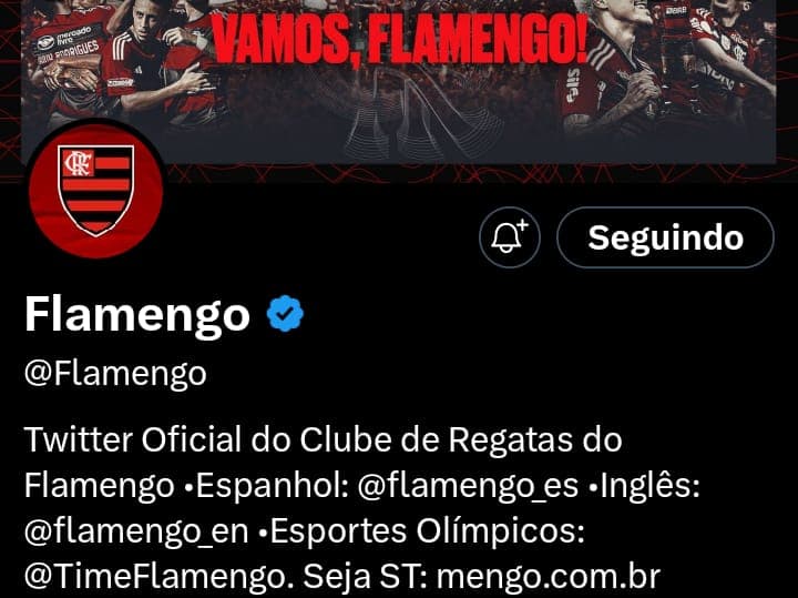 Página do Flamengo no Twitter