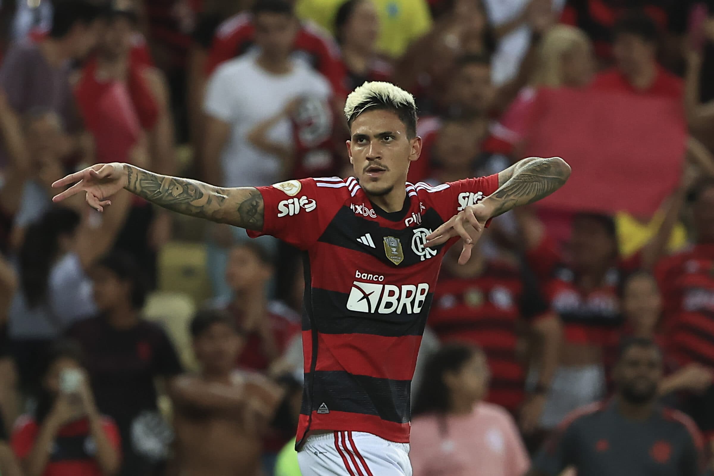 Pedro comemora gol do Flamengo