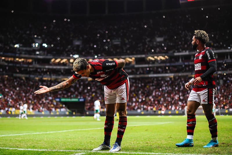 Pedro comemora gol em Flamengo x Juventude no Mané Garrincha; FFDF quebrou recorde de lucro em função dos jogos do Fla