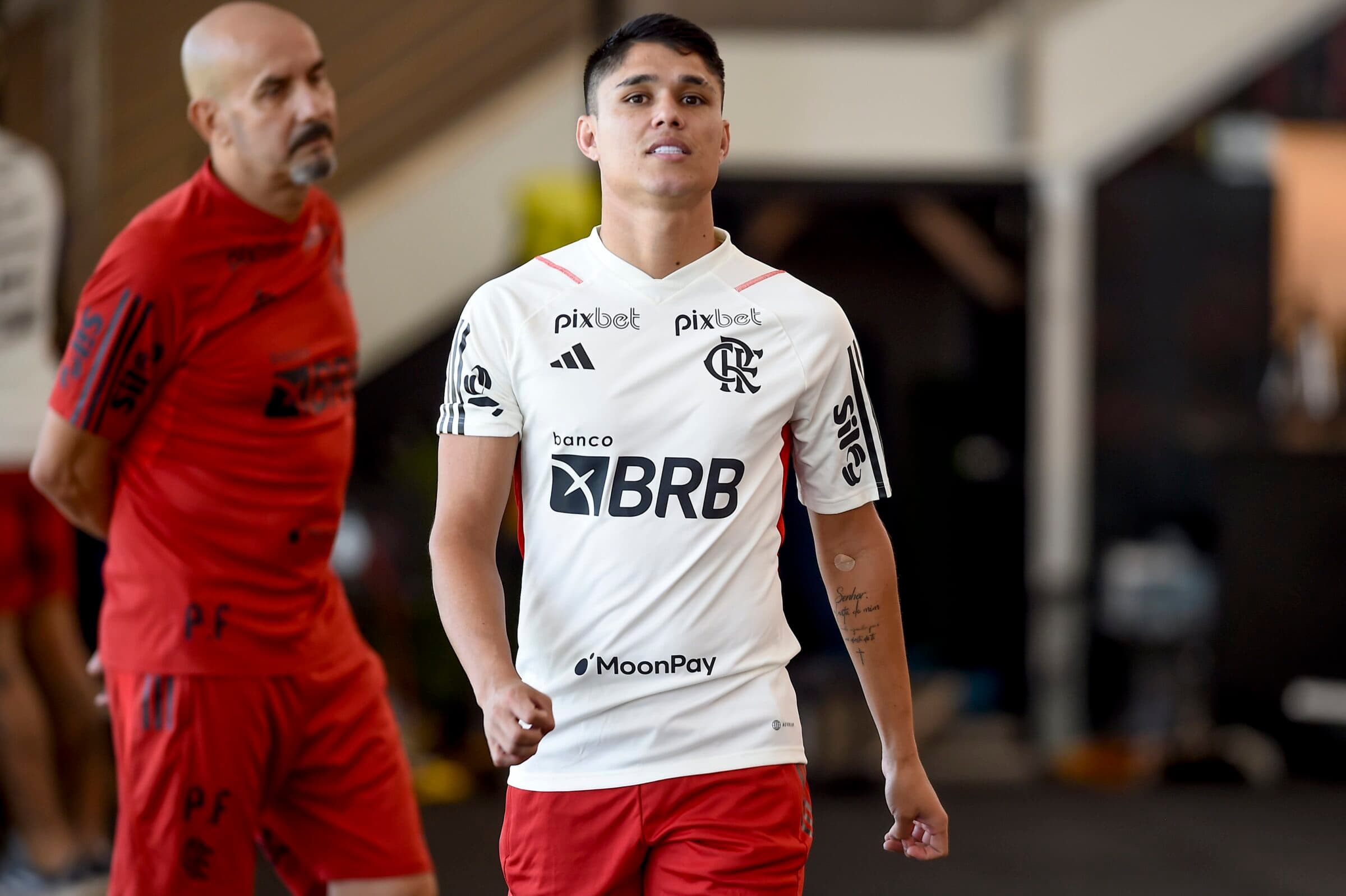 Luiz Araújo Fla TV Flamengo