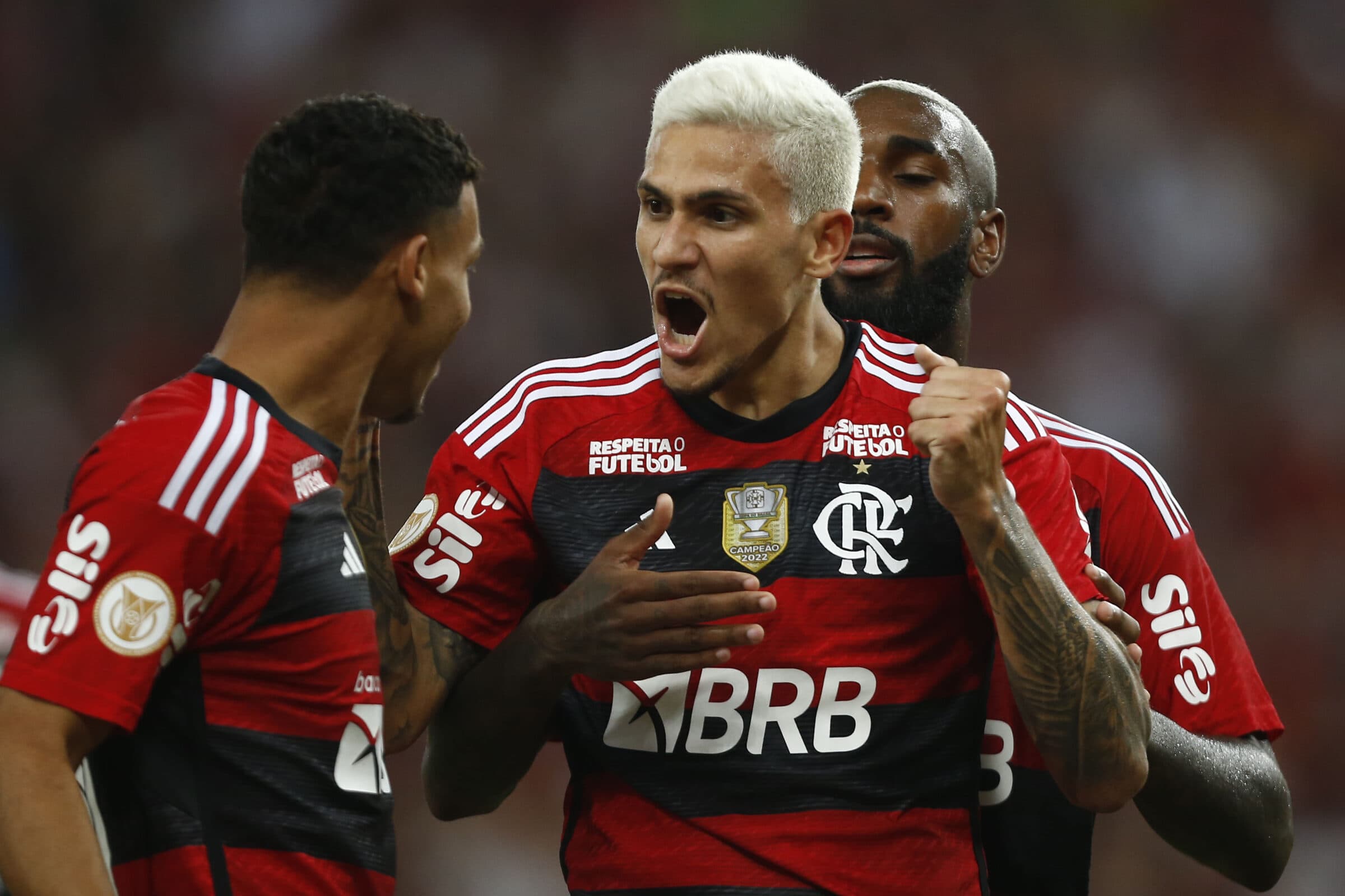 Flamengo vence o Grêmio no Brasileirão