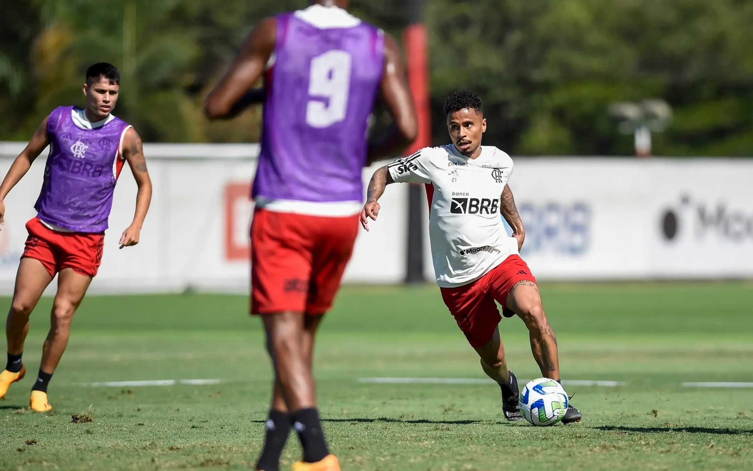 Allan pode estrear titular contra o Fluminense, diante de lesão de Pulgar no Flamengo