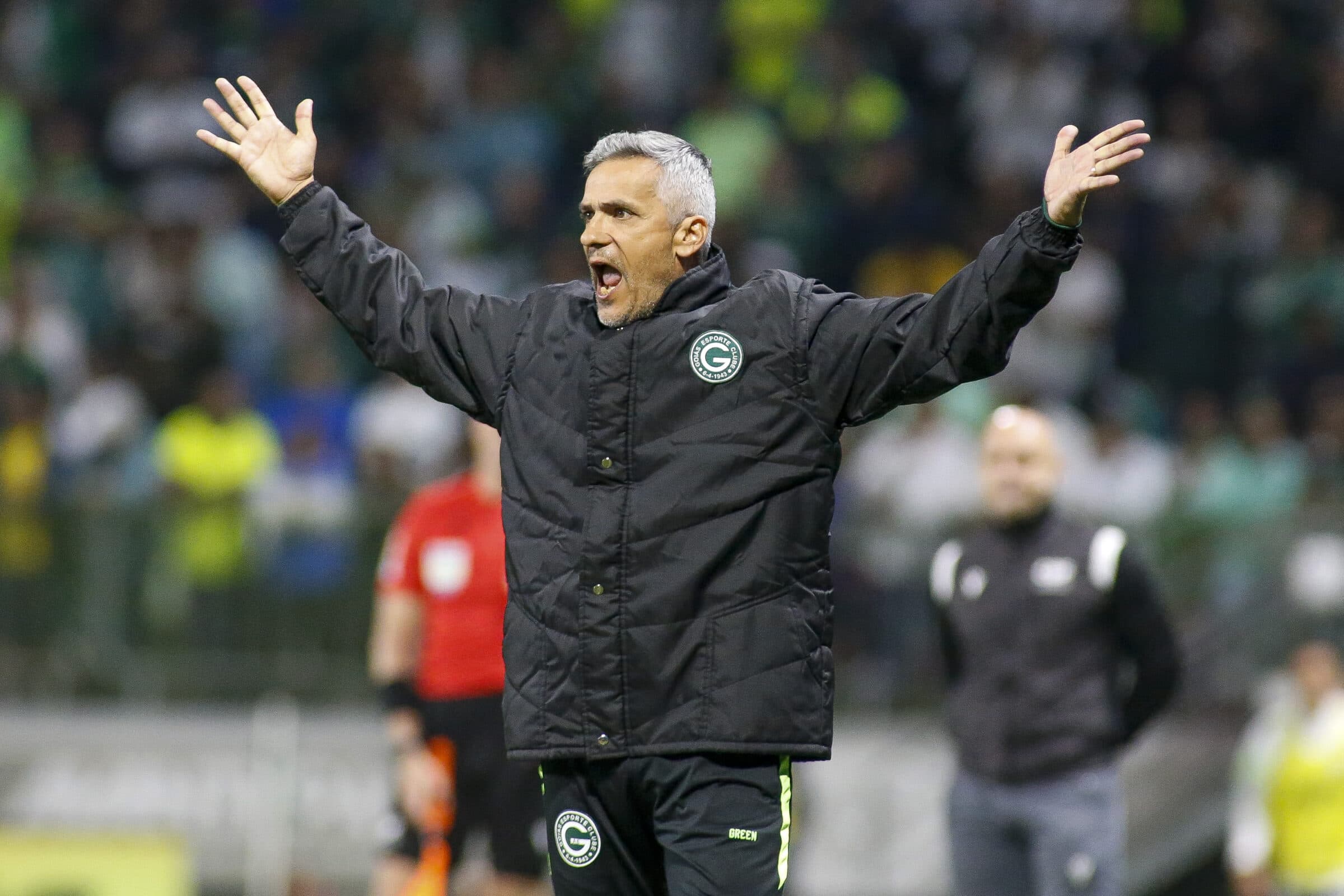 Flamengo volta a campo e enfrenta o Goiás pelo Brasileirão, fora de casa