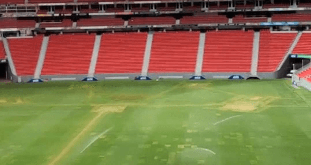 mané garrincha antes de flamengo e santos