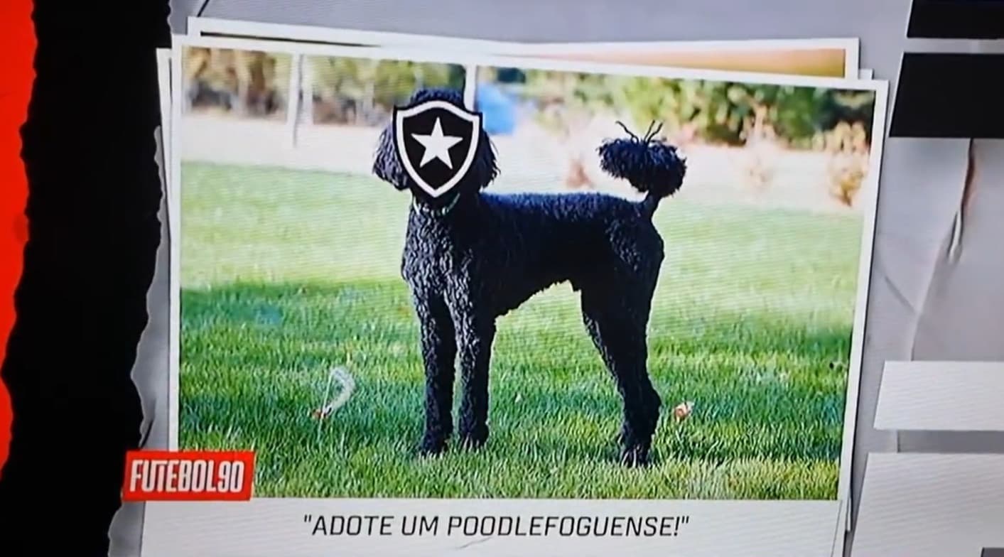 ESPN zomba do momento do Botafogo