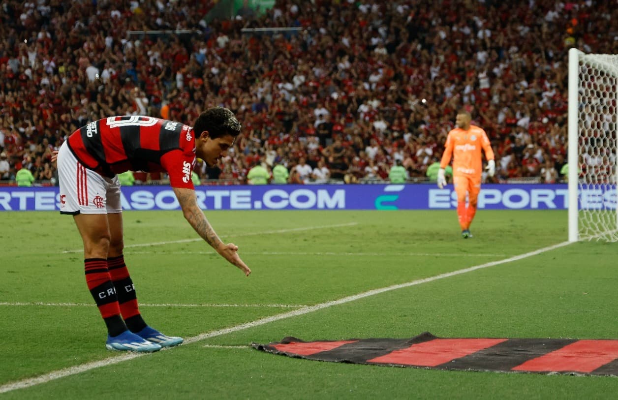 Pedro comemora gol pelo Flamengo contra Palmeiras