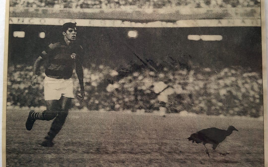 Urubu passeia em campo com jogador do Flamengo tentando afastá-lo. Torcedores do Flamengo o soltaram como forma de combate ao preconceito. Desde então o Urubu do Flamengo tornou-se mascote.