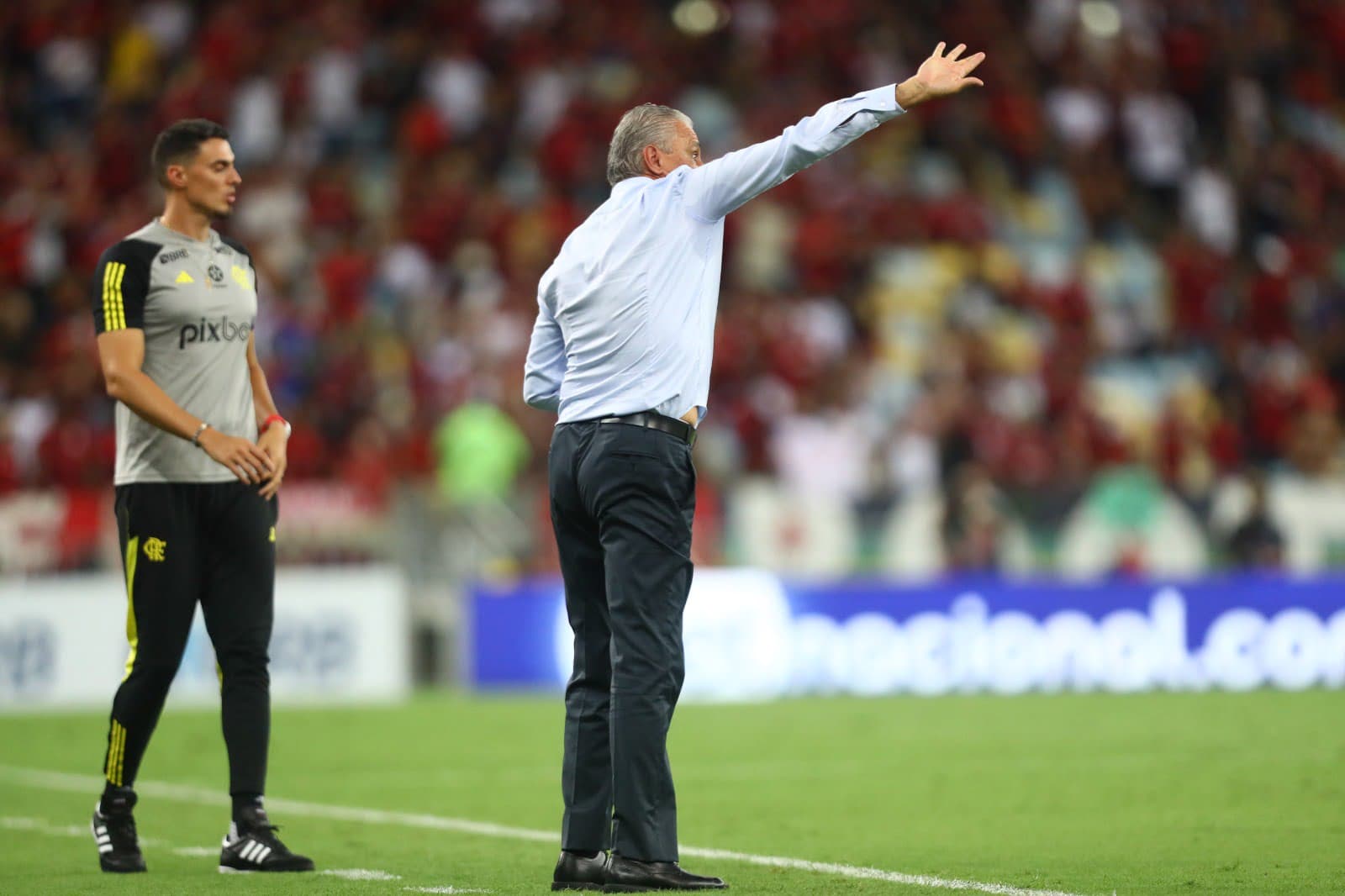 Contra Botafogo, Tite tenta passar instruções para o time do Flamengo à beira do gramado observado por Matheus Bacchi