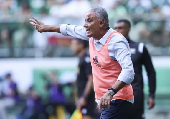 Tite durante partida entre Palmeiras e Flamengo pelo Brasileirão no Allianz Parque. Técnico levou cuspe na cabeça de cliente da Real Arenas