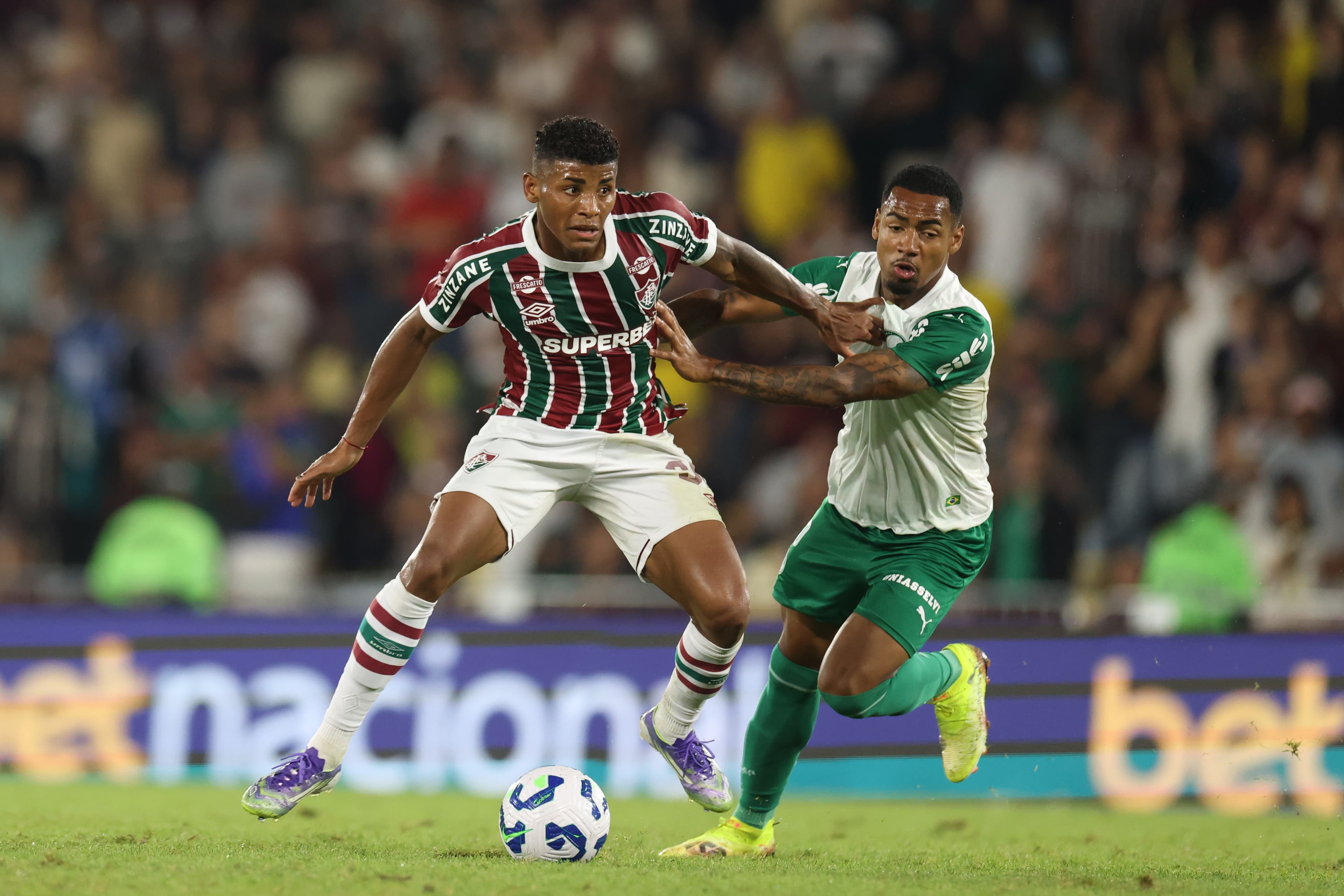 Hércules em dividida durante Fluminense x Palmeiras