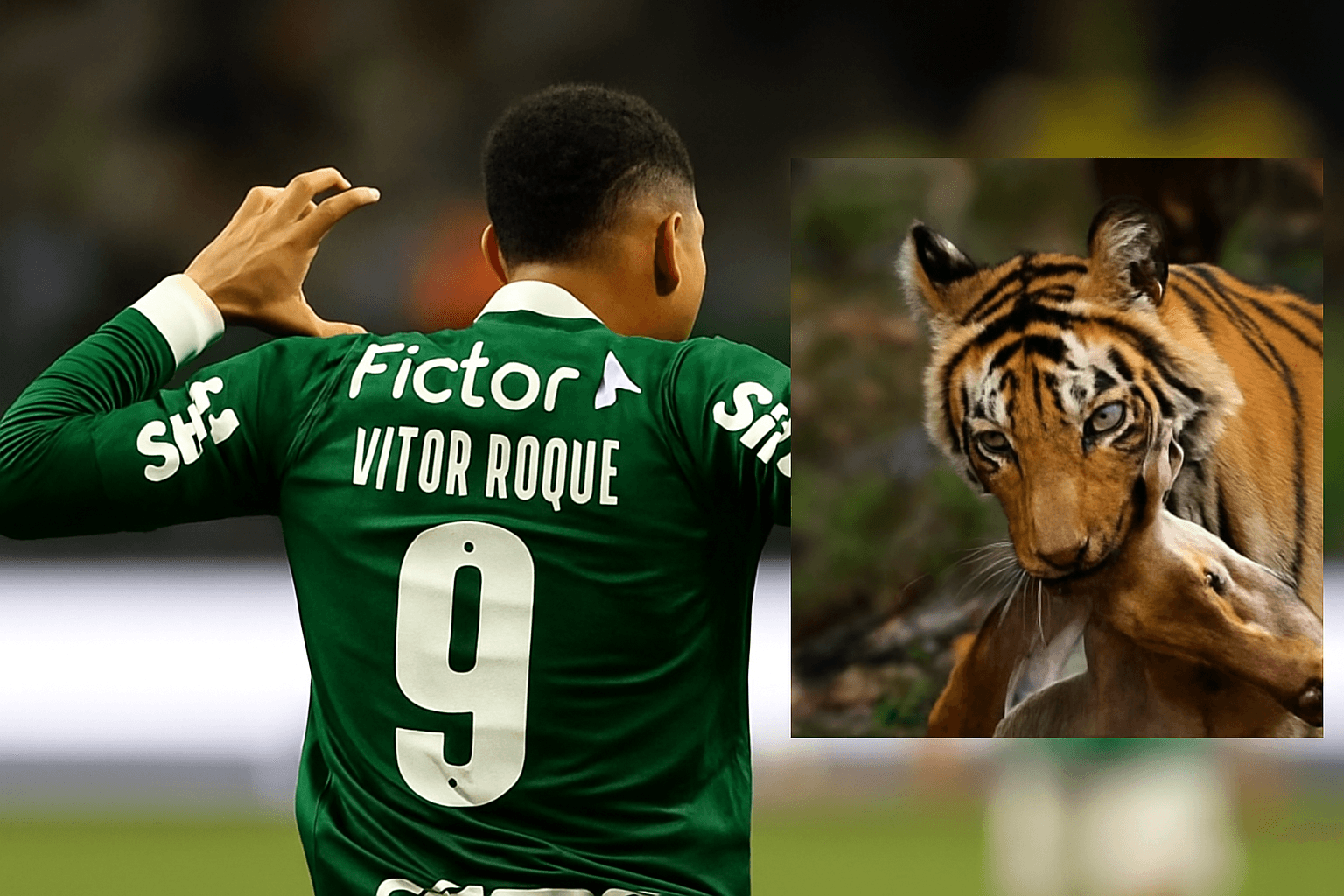 Montagem com Vitor Roque comemorando pelo Palmeiras e a imagem do tigre mordendo um veado, referência à postagem que motivou investigação do Ministério Público.