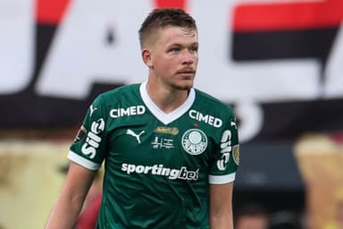 Bruno Fuchs Palmeiras