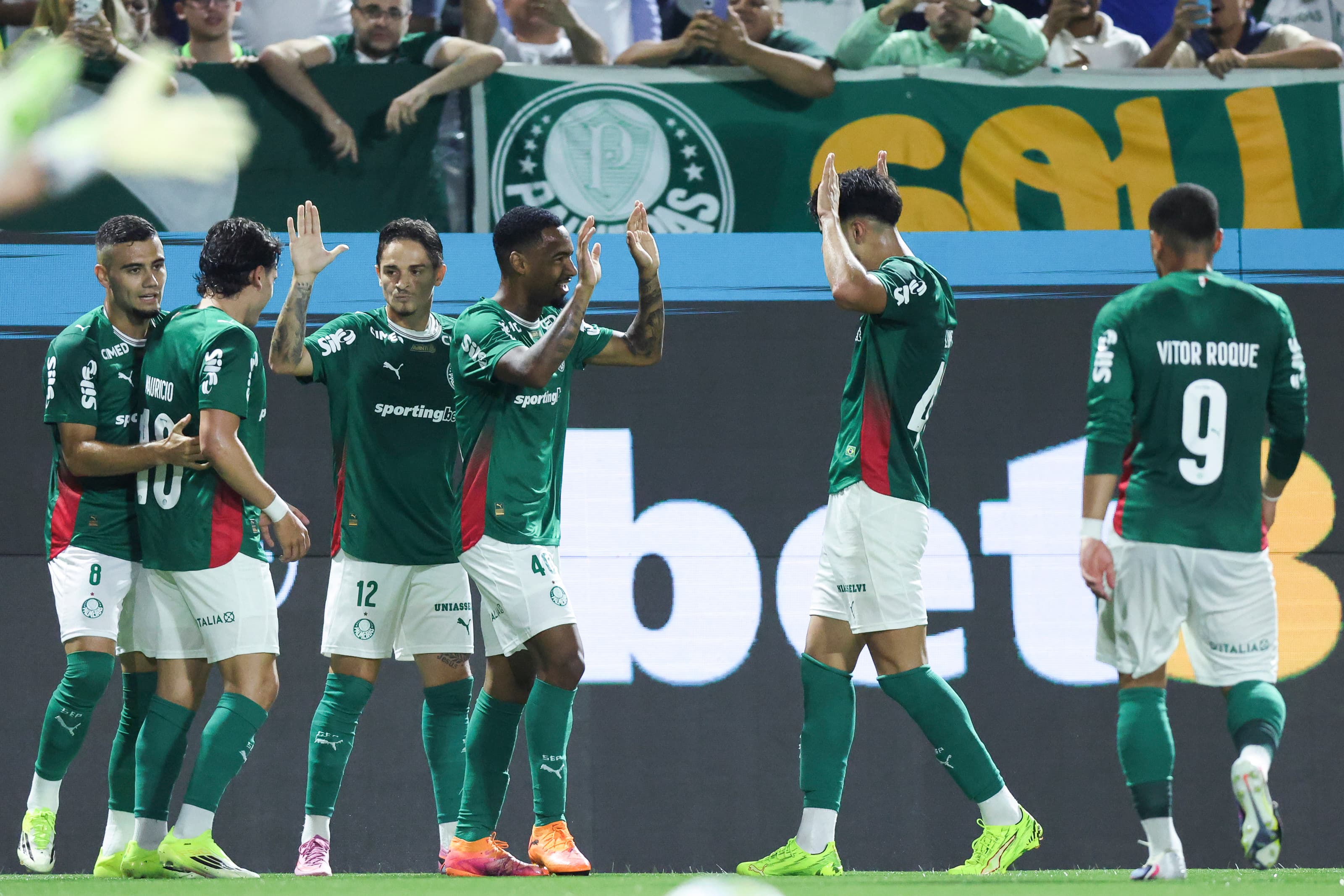 Palmeiras x Fluminense: melhores momentos