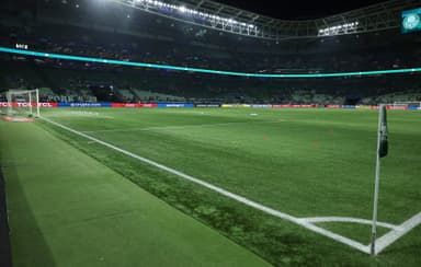 Palmeiras x Capivariano onde assistir